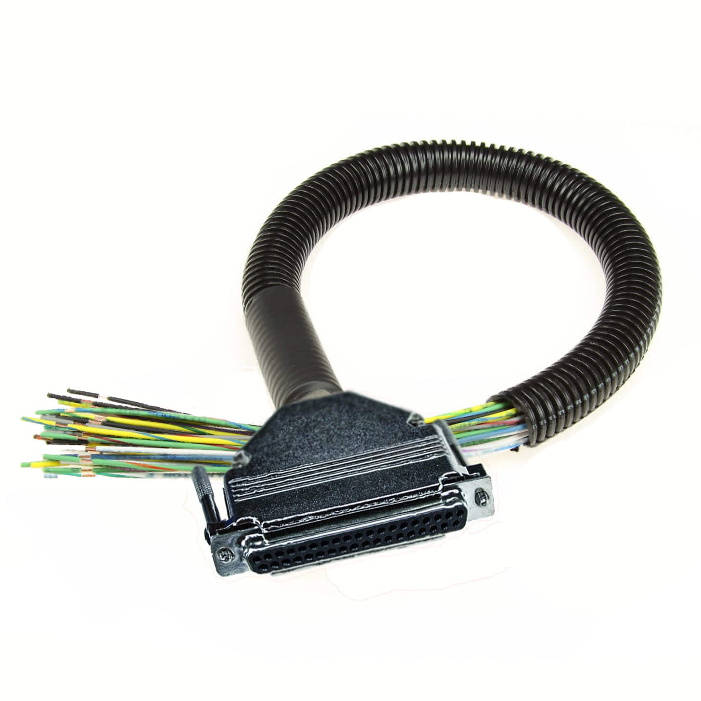 24″ Classic MegaSquirt Pigtail Harness